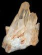 Tangerine Quartz Crystal Cluster - Madagascar #36206-1